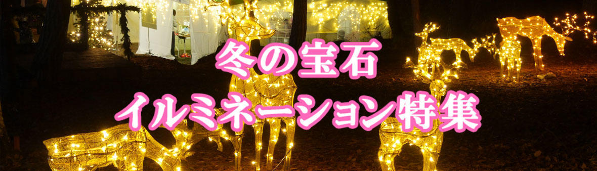 冬の宝石 イルミネーション特集
