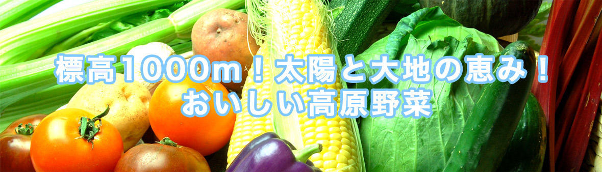 標高1000m！太陽と大地の恵み！おいしい高原野菜