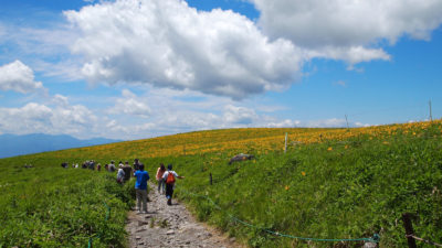 ビーナスラインフォト旅