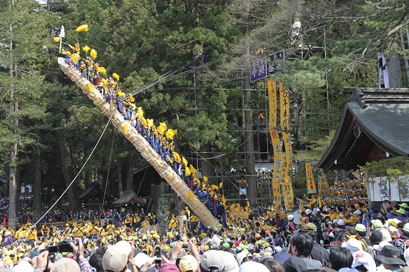 御柱祭（式年造営御柱大祭）