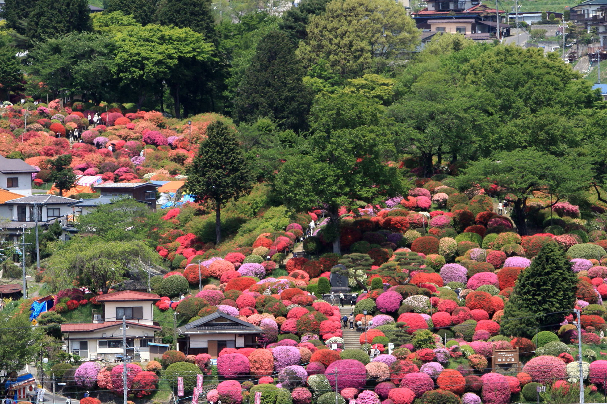 鶴峯公園