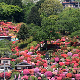 鶴峯公園