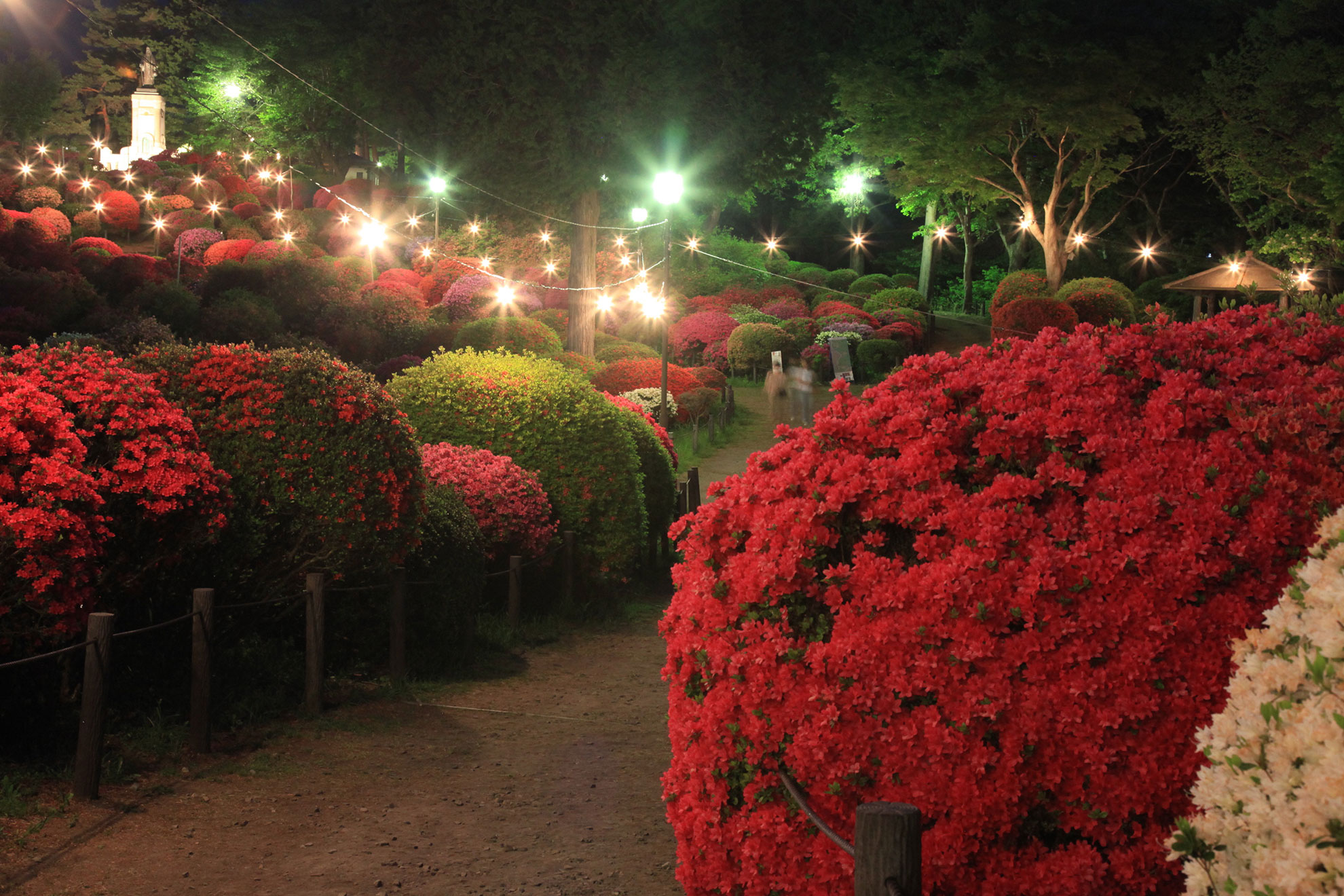 鶴峯公園