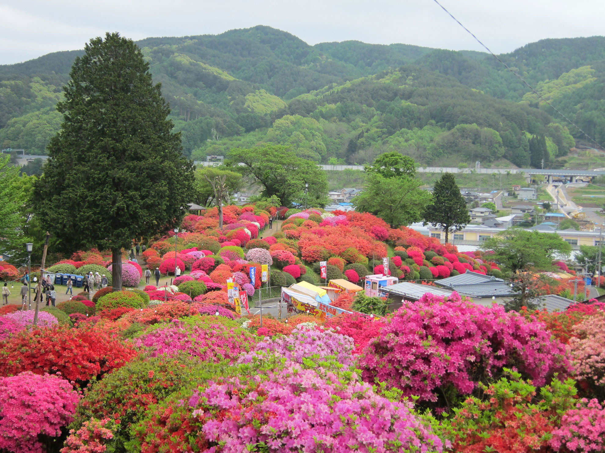 鶴峯公園