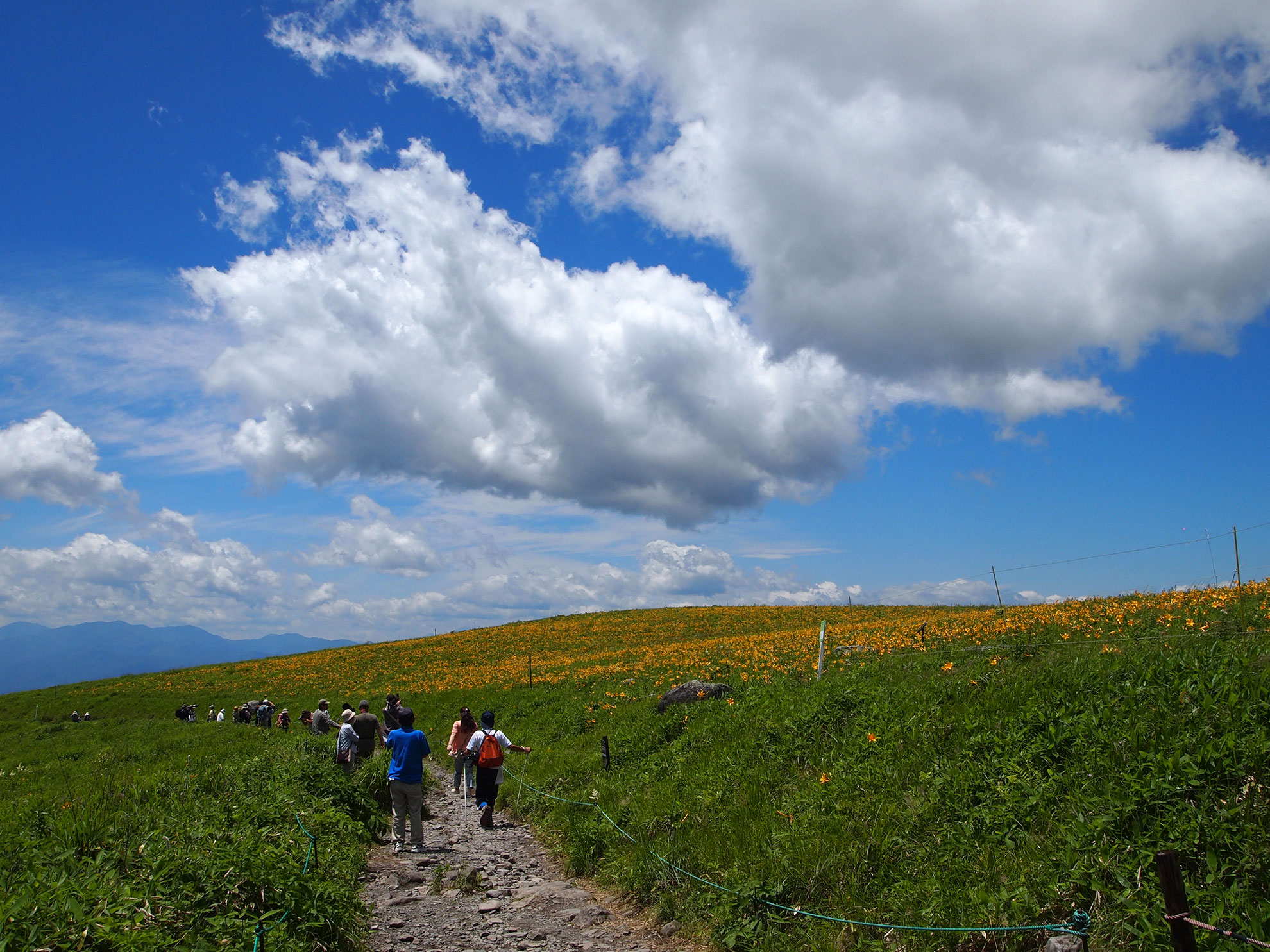 霧ヶ峰高原