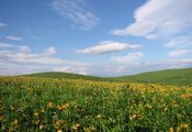 霧ヶ峰・車山高原　天空の丘（展望リフト）