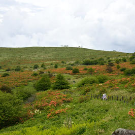 車山スカイプラザ　麺所　天狗家