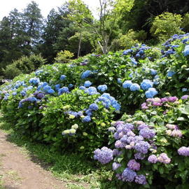 小坂公園 