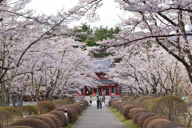 聖光寺