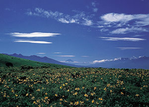 霧ケ峰高原