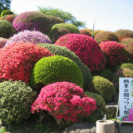 鶴峯公園