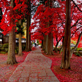 清龍山　長円寺