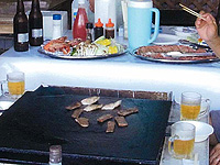 ロッヂ　コスモス