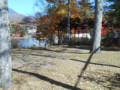 蓼の花キャンプ場