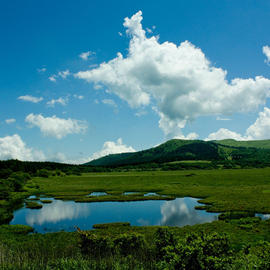 八島湿原