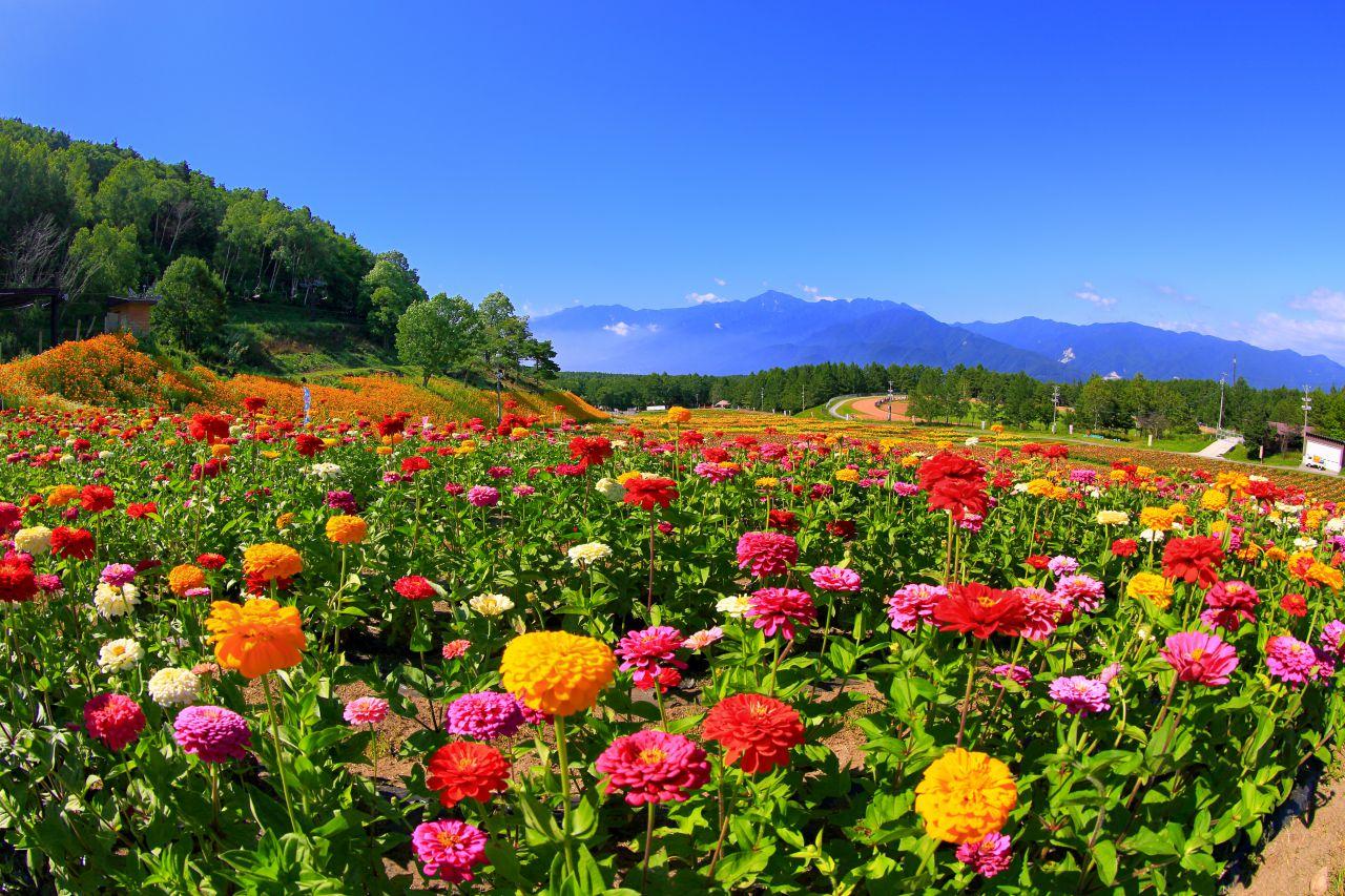 富士見高原リゾート　花の里