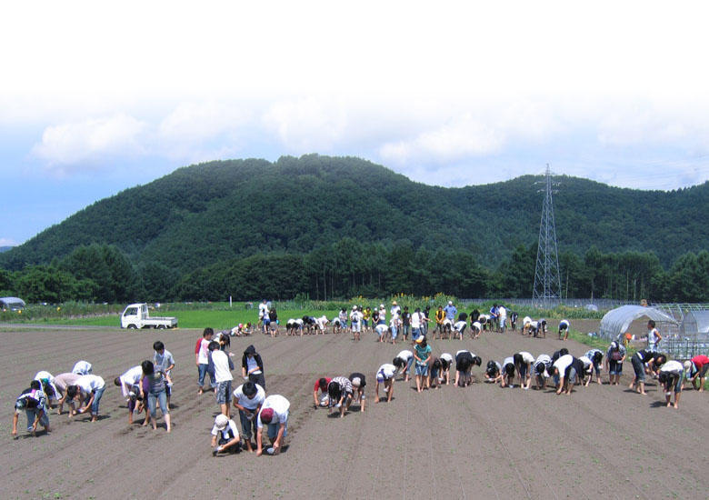 グリーンツーリズム（収穫体験）