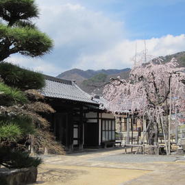 温泉禅寺