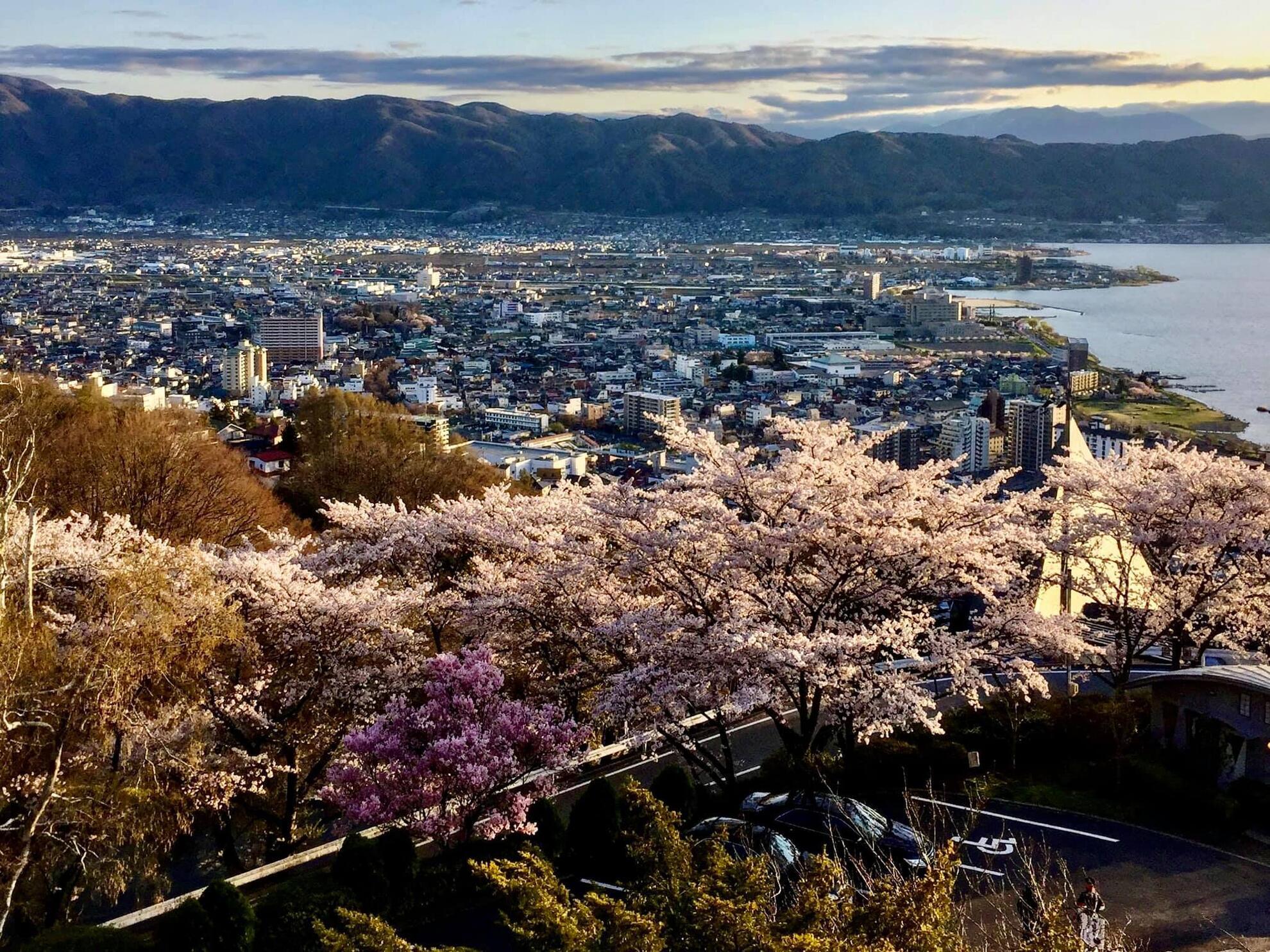 立石公園