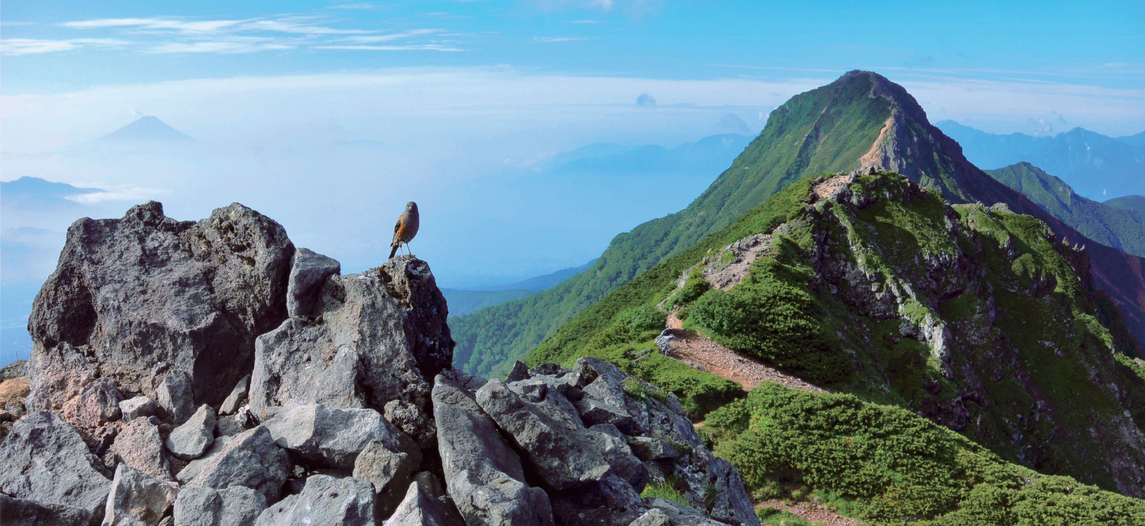 八ヶ岳山麓の絶景スポットを巡る 茅野モデルコース