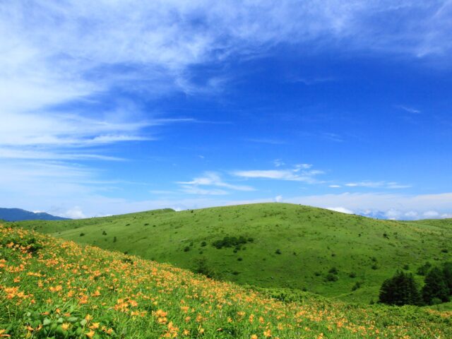 维纳斯之路电动自行车短途旅行