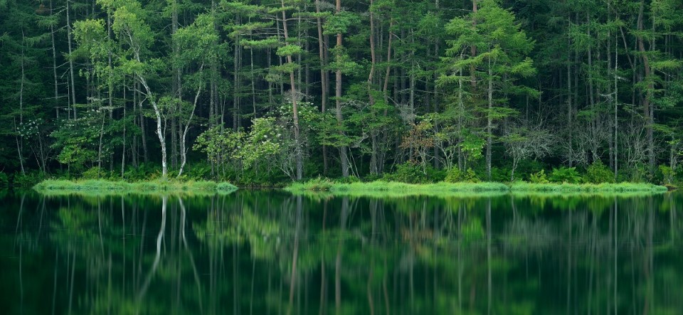 Mishaka Pond