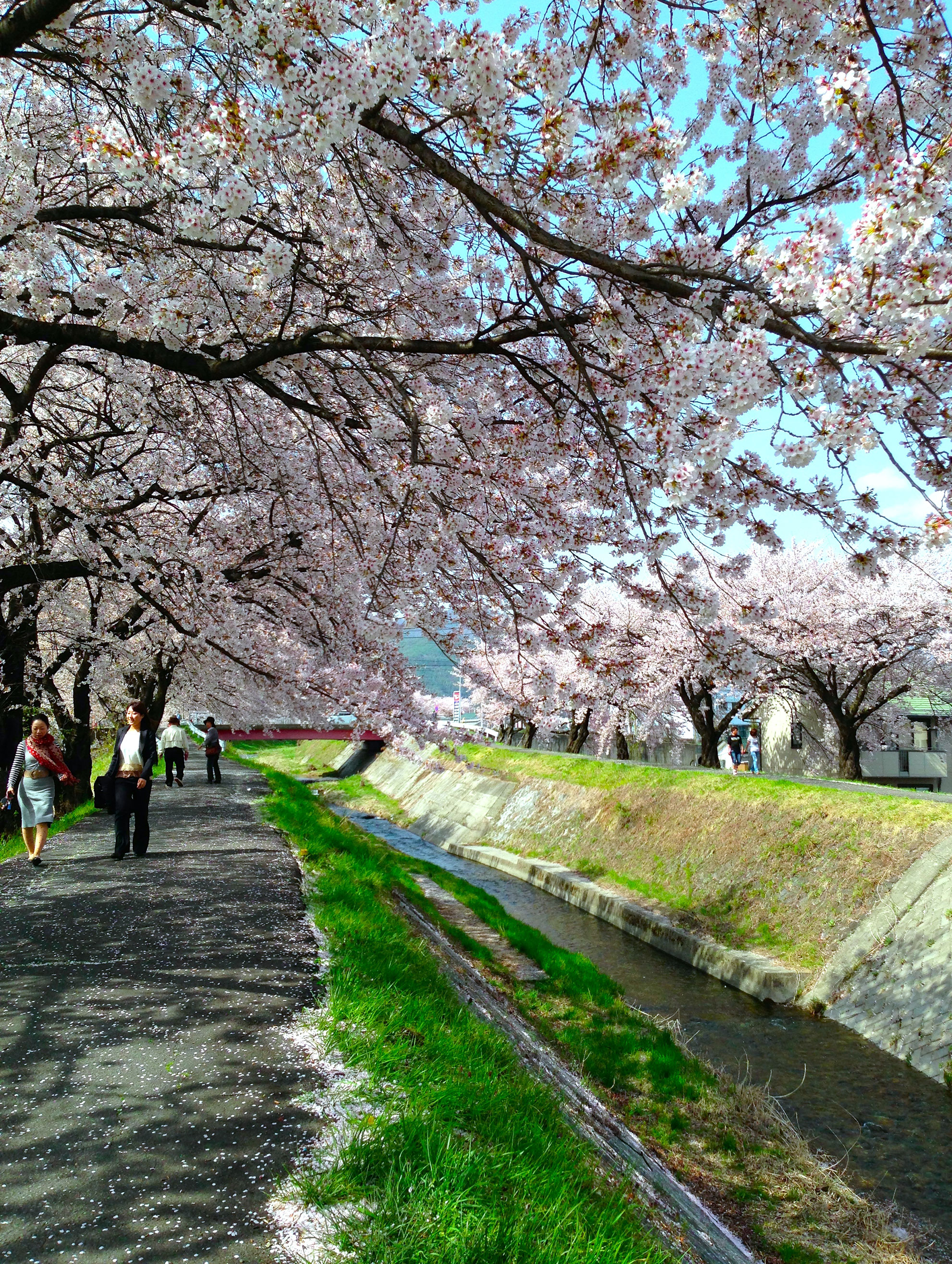 横河川