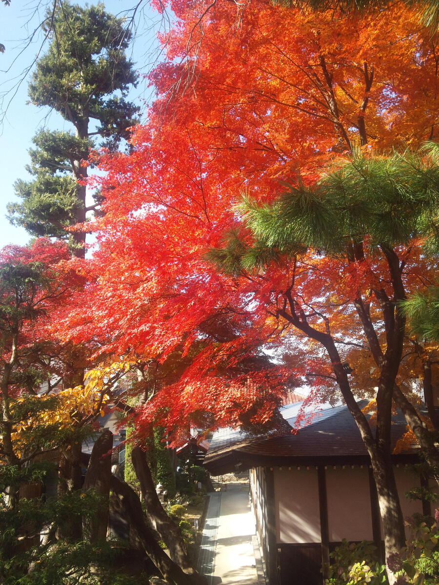 温泉寺