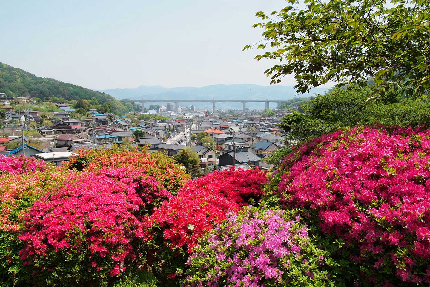 鶴峯公園