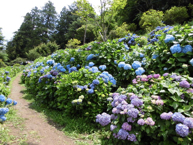 小坂公園 