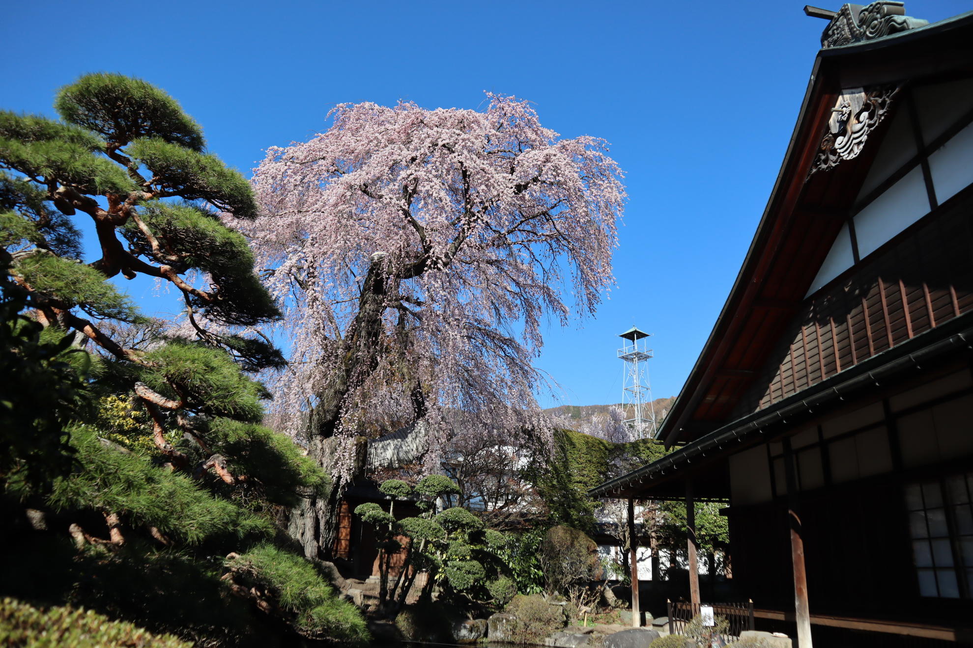 貞松院