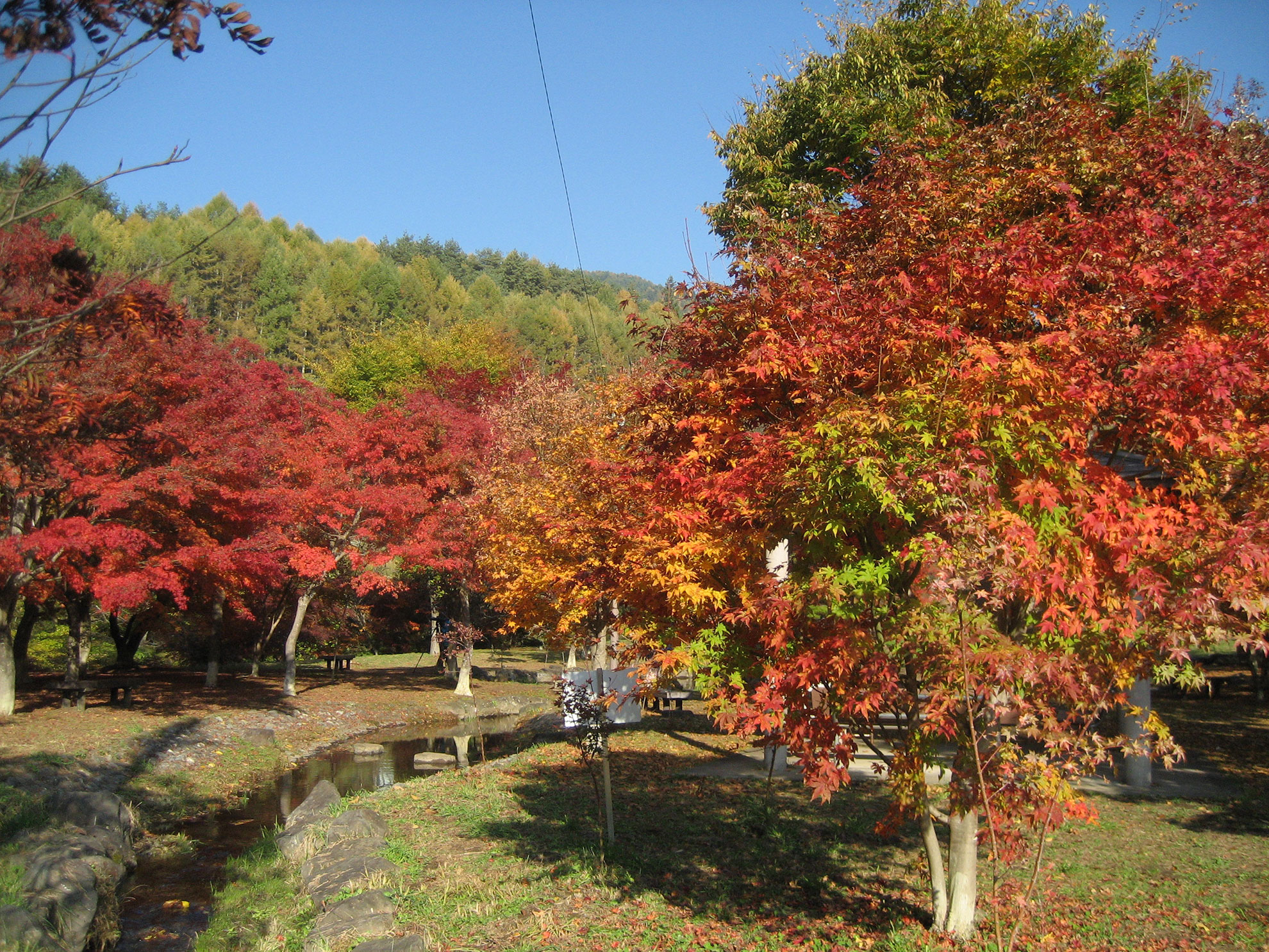 出早公園