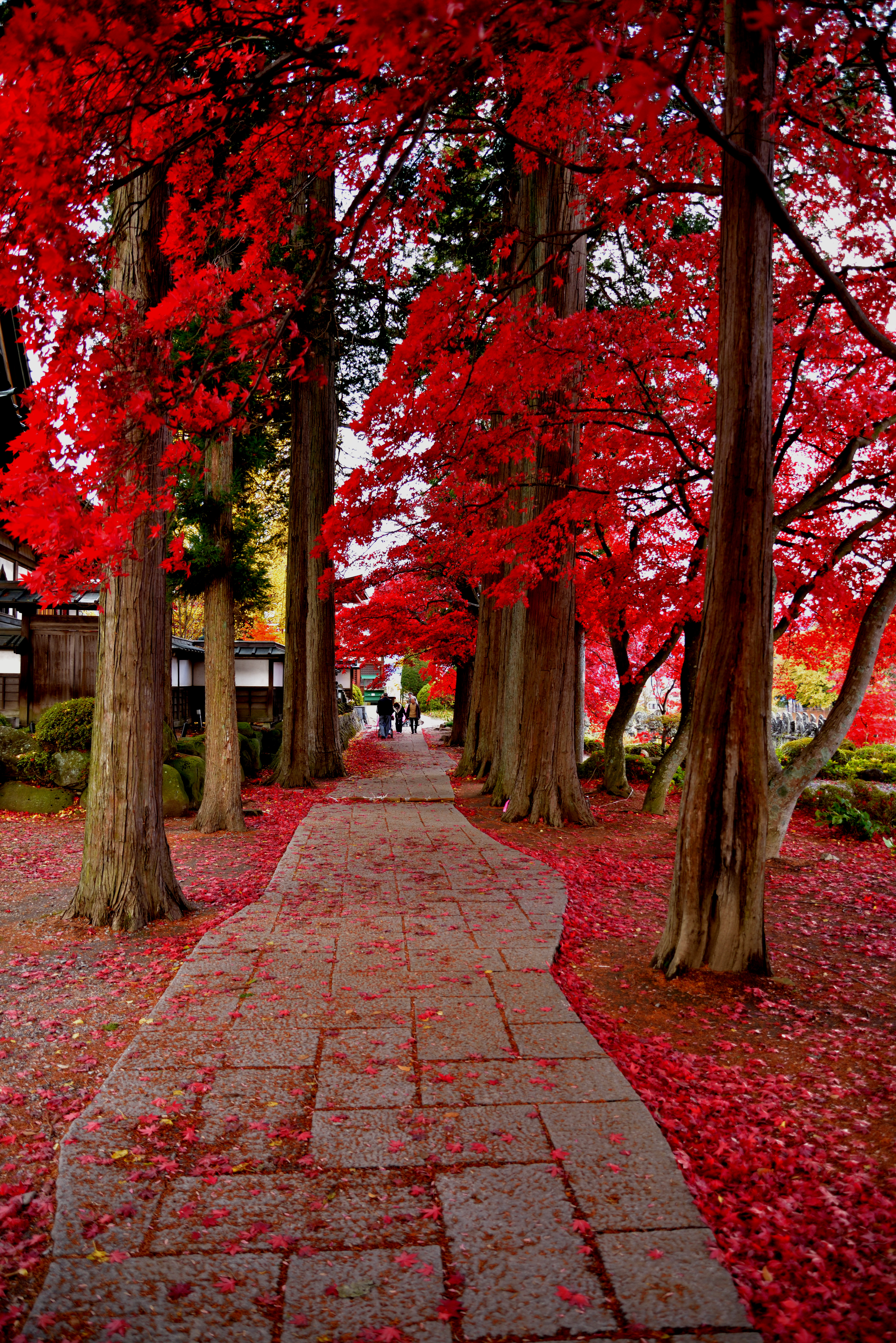 清龍山　長円寺