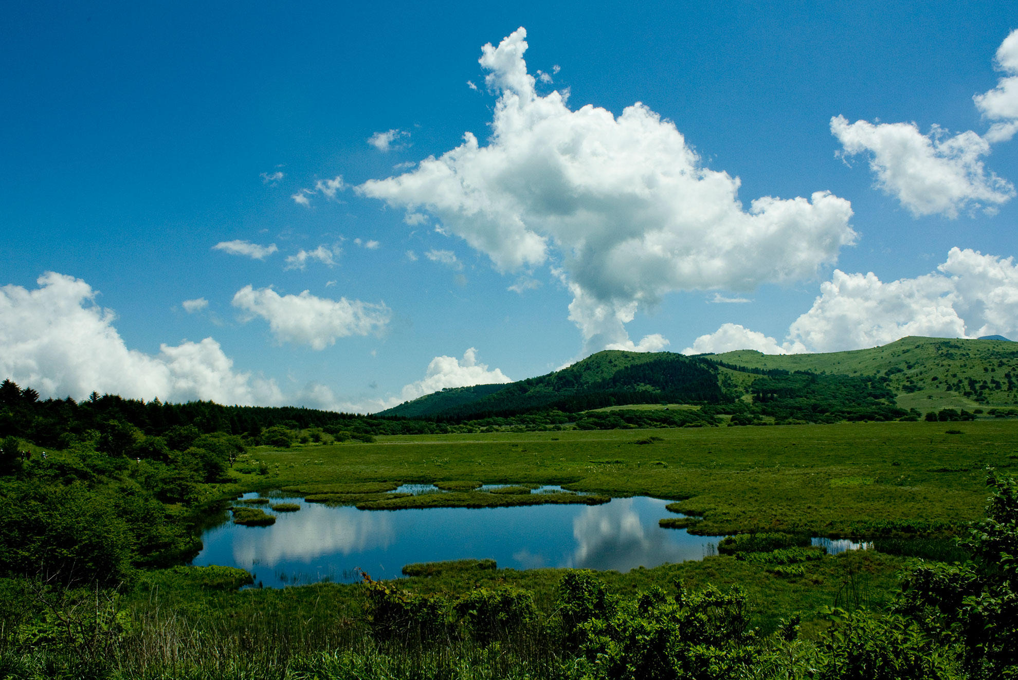 八島湿原