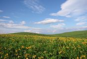 霧ヶ峰・車山高原　天空の丘（展望リフト）