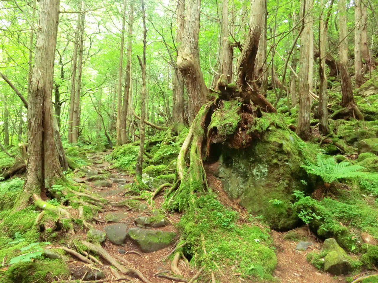 諏訪のロケ地巡り 諏訪観光連盟