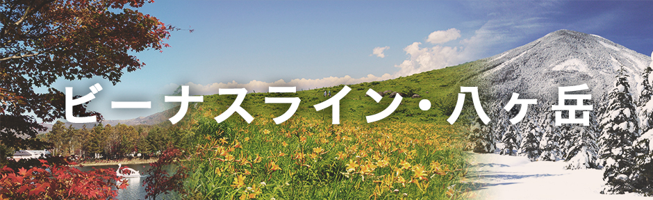 ビーナスライン／八ヶ岳