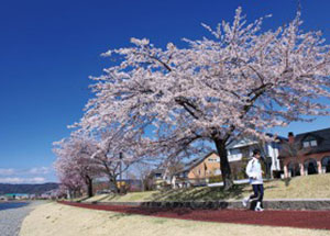 tokusyu_jogging.jpg