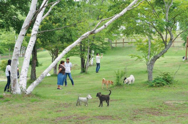 八ヶ岳自然文化園 諏訪観光連盟