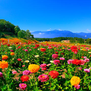 標高1250mにある天空の花園　<br>富士見高原 花の里