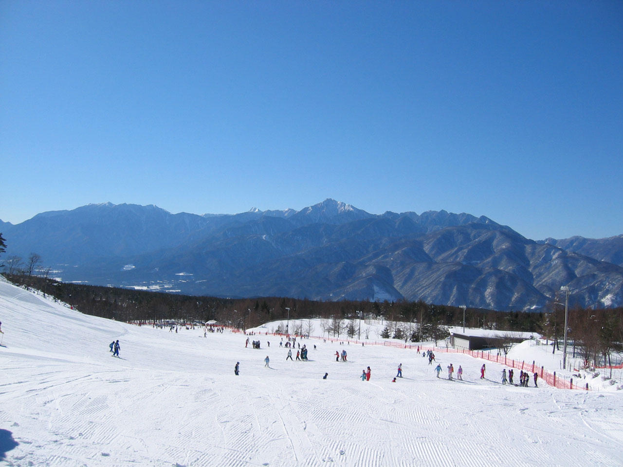 場 富士見 高原 スキー